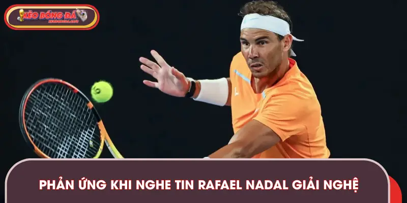 Phản ứng của người hâm mộ khi Rafael Nadal thông báo giải nghệ